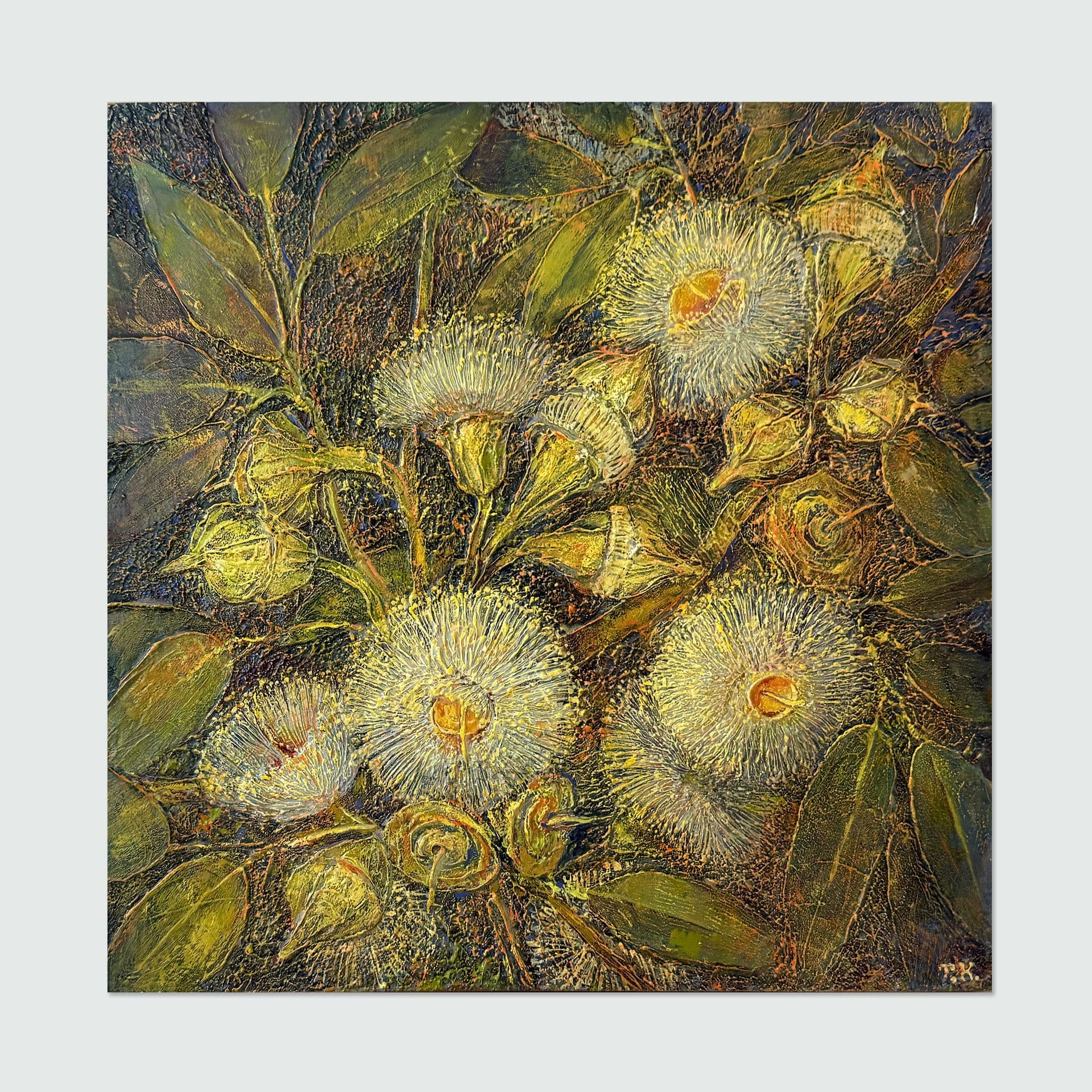 Nocturne for Large-Fruited Mallee finalist of the artprize