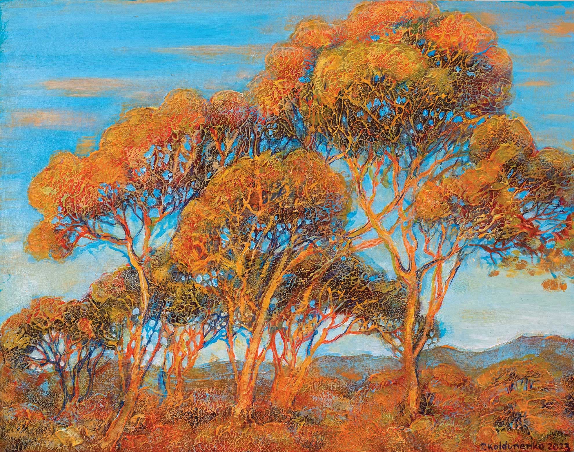 Eucalypts at sunset
