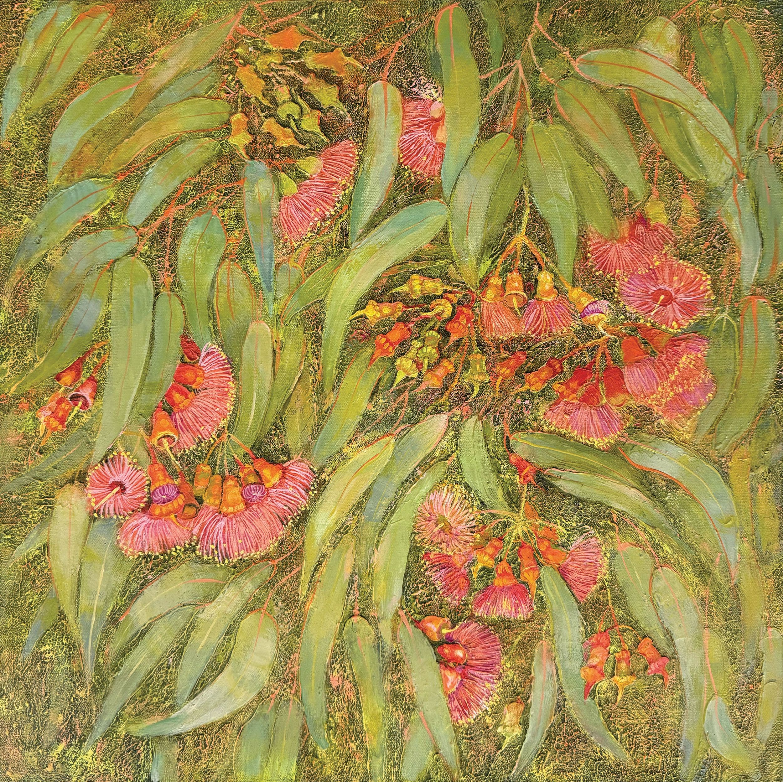 Coral Gum story